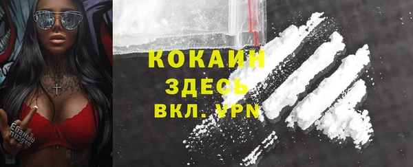 прущие крисы Аркадак