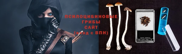 прущие крисы Аркадак