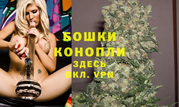 прущие крисы Аркадак